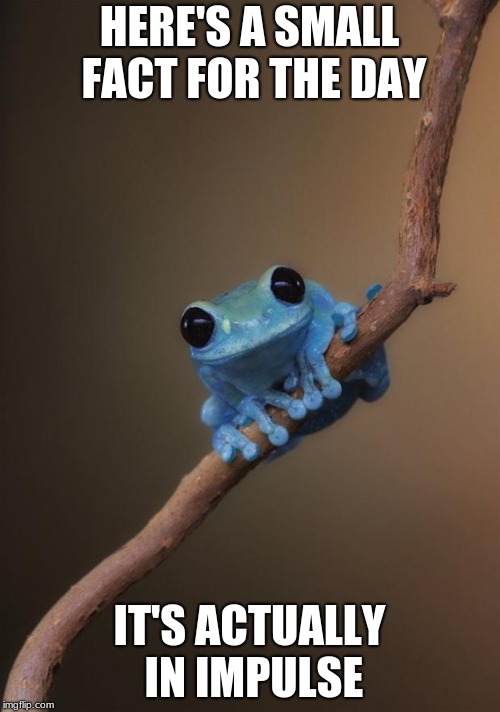 small fact frog | HERE'S A SMALL FACT FOR THE DAY IT'S ACTUALLY IN IMPULSE | image tagged in small fact frog | made w/ Imgflip meme maker