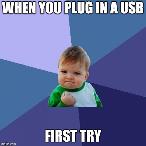 Success Kid | WHEN YOU PLUG IN A USB; FIRST TRY | image tagged in memes,success kid | made w/ Imgflip meme maker