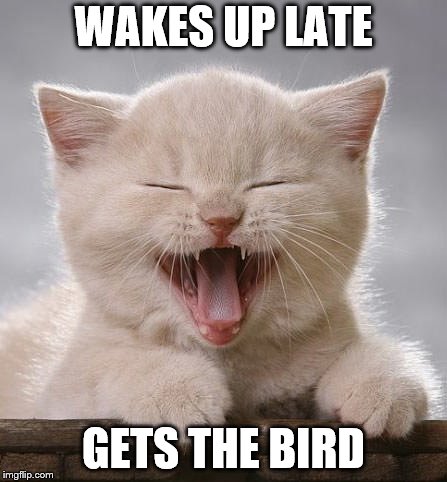 WAKES UP LATE GETS THE BIRD | made w/ Imgflip meme maker