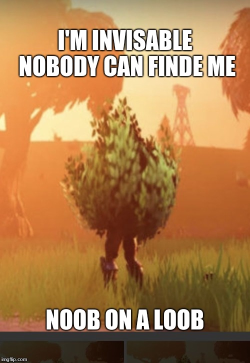 Fortnite bush | I'M INVISABLE NOBODY CAN FINDE ME; NOOB ON A LOOB | image tagged in fortnite bush | made w/ Imgflip meme maker