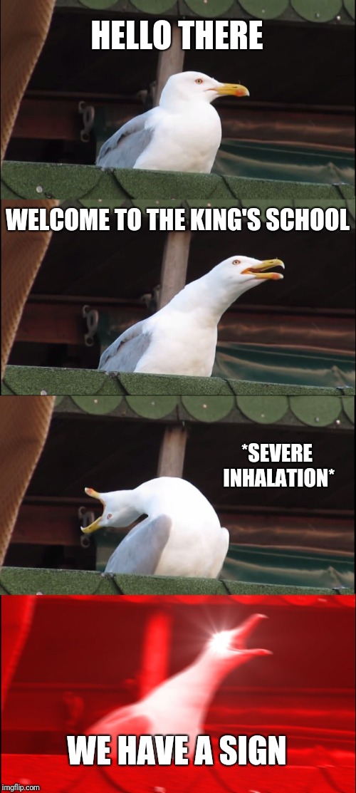 Inhaling Seagull Meme | HELLO THERE; WELCOME TO THE KING'S SCHOOL; *SEVERE INHALATION*; WE HAVE A SIGN | image tagged in memes,inhaling seagull | made w/ Imgflip meme maker