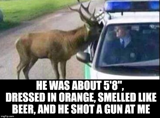 HE WAS ABOUT 5'8", DRESSED IN ORANGE, SMELLED LIKE BEER, AND HE SHOT A GUN AT ME | image tagged in cop and deer | made w/ Imgflip meme maker