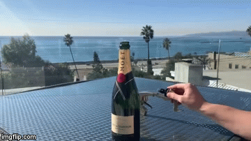 The Bubbly Blaster, A Heavy Duty Squirt Gun Attachment For Champagne  Bottles - Geekologie