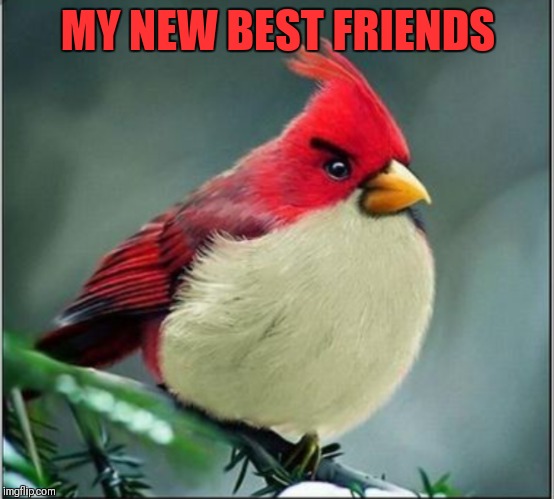 MY NEW BEST FRIENDS | made w/ Imgflip meme maker