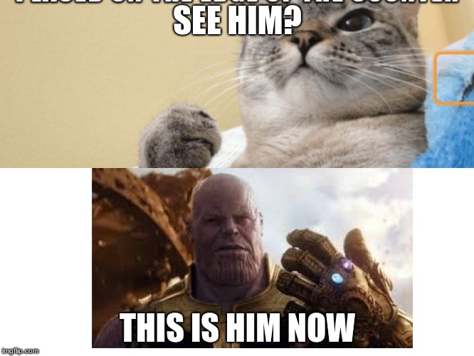 Thisishimnow.exe | SEE HIM? THIS IS HIM NOW | image tagged in thanos,cats | made w/ Imgflip meme maker