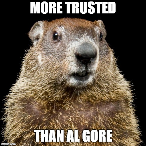 Groundhog | MORE TRUSTED; THAN AL GORE | image tagged in groundhog | made w/ Imgflip meme maker