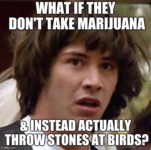Conspiracy Keanu Meme | WHAT IF THEY DON'T TAKE MARIJUANA & INSTEAD ACTUALLY THROW STONES AT BIRDS? | image tagged in memes,conspiracy keanu | made w/ Imgflip meme maker