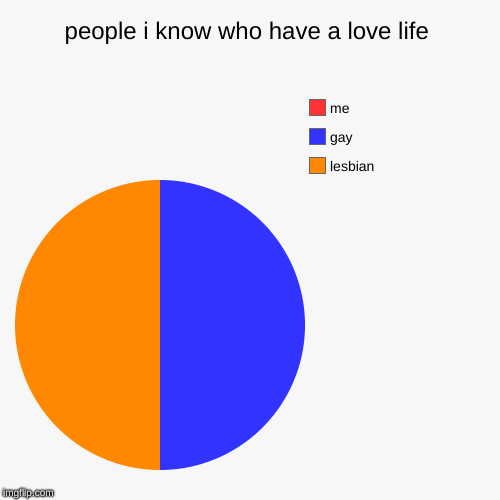 people i know who have a love life | lesbian, gay, me | image tagged in funny,pie charts | made w/ Imgflip chart maker