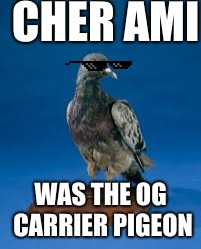 CHER AMI WAS THE OG CARRIER PIGEON | made w/ Imgflip meme maker
