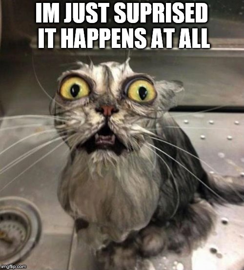 Astonished Wet Cat | IM JUST SUPRISED IT HAPPENS AT ALL | image tagged in astonished wet cat | made w/ Imgflip meme maker