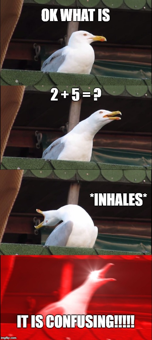 Inhaling Seagull | OK WHAT IS; 2 + 5 = ? *INHALES*; IT IS CONFUSING!!!!! | image tagged in memes,inhaling seagull | made w/ Imgflip meme maker