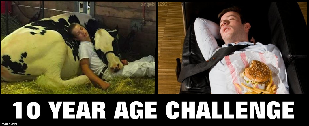 image tagged in challenge,facebook,cows,hamburger,hamburgers,burger | made w/ Imgflip meme maker