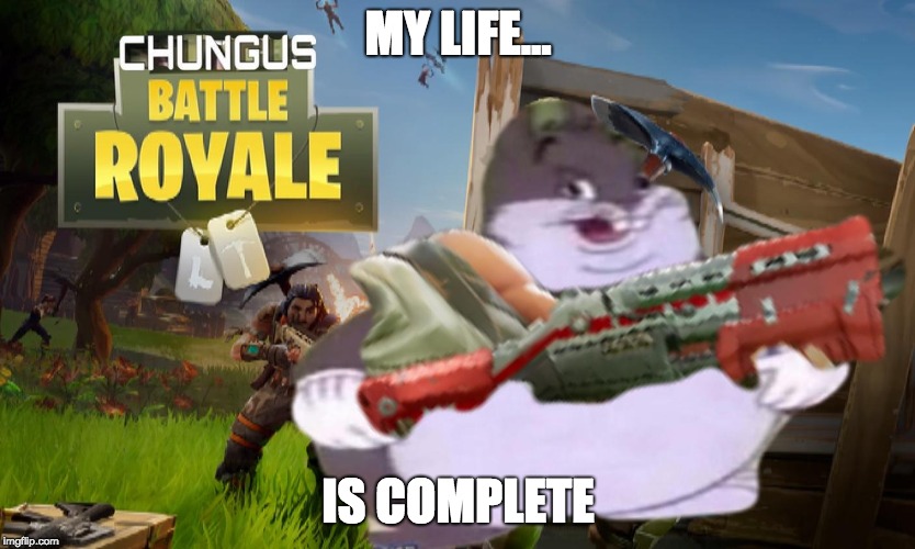 BEUTIFUL | MY LIFE... IS COMPLETE | image tagged in memes,big chungus | made w/ Imgflip meme maker
