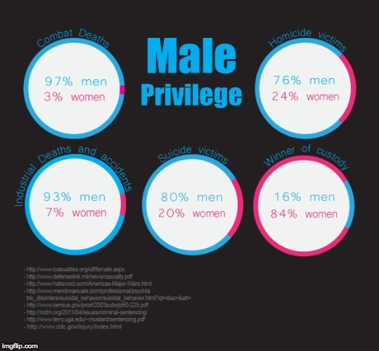 So much male privilege! | image tagged in politics,male | made w/ Imgflip meme maker