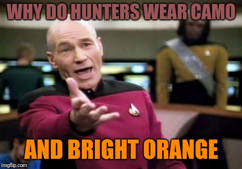 Picard Wtf Meme | WHY DO HUNTERS WEAR CAMO AND BRIGHT ORANGE | image tagged in memes,picard wtf | made w/ Imgflip meme maker