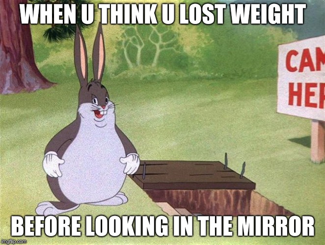 Big Chungus | WHEN U THINK U LOST WEIGHT; BEFORE LOOKING IN THE MIRROR | image tagged in big chungus | made w/ Imgflip meme maker