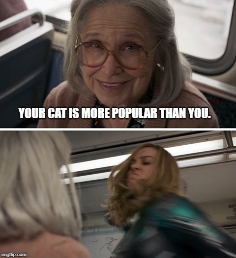 Captain Marvel | YOUR CAT IS MORE POPULAR THAN YOU. | image tagged in captain marvel | made w/ Imgflip meme maker