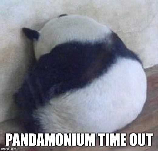 PANDAMONIUM TIME OUT | made w/ Imgflip meme maker