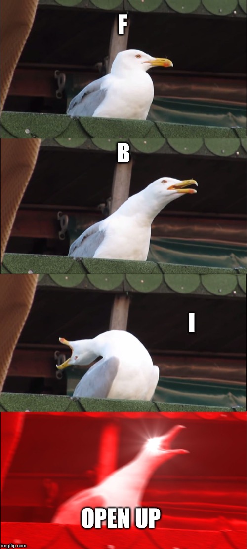 Inhaling Seagull | F; B; I; OPEN UP | image tagged in memes,inhaling seagull | made w/ Imgflip meme maker