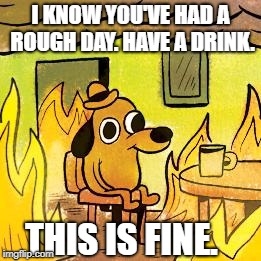 Dog in burning house |  I KNOW YOU'VE HAD A ROUGH DAY. HAVE A DRINK. THIS IS FINE. | image tagged in dog in burning house | made w/ Imgflip meme maker