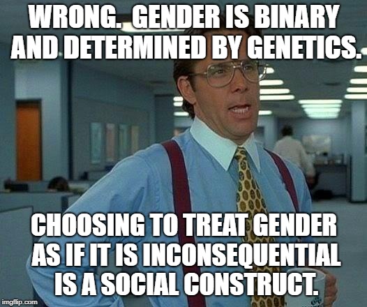 That Would Be Great Meme | WRONG.  GENDER IS BINARY AND DETERMINED BY GENETICS. CHOOSING TO TREAT GENDER AS IF IT IS INCONSEQUENTIAL IS A SOCIAL CONSTRUCT. | image tagged in memes,that would be great | made w/ Imgflip meme maker