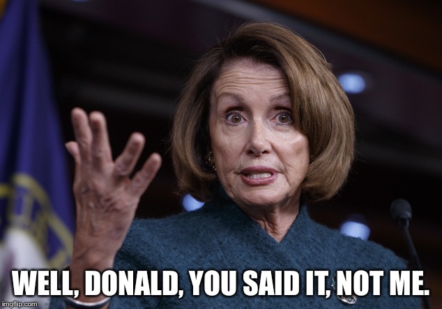 Good old Nancy Pelosi | WELL, DONALD, YOU SAID IT, NOT ME. | image tagged in good old nancy pelosi | made w/ Imgflip meme maker