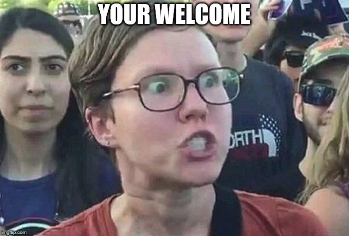 Triggered Liberal | YOUR WELCOME | image tagged in triggered liberal | made w/ Imgflip meme maker