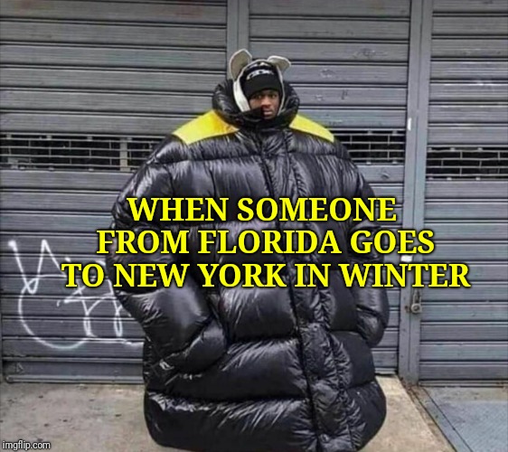 Florida to NY in winter | WHEN SOMEONE FROM FLORIDA GOES TO NEW YORK IN WINTER | image tagged in florida to ny in winter | made w/ Imgflip meme maker
