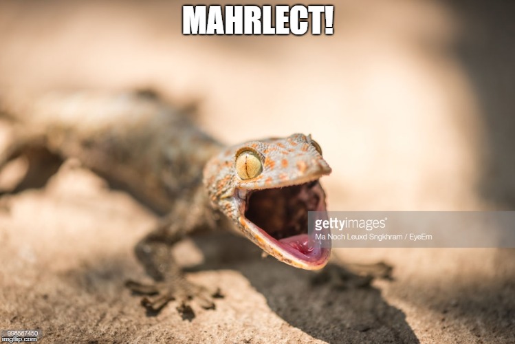 MAHRLECT! | made w/ Imgflip meme maker