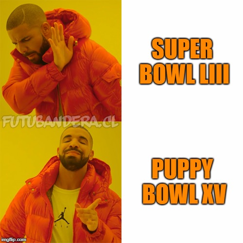 Drake Hotline Bling | SUPER BOWL LIII; PUPPY BOWL XV | image tagged in drake | made w/ Imgflip meme maker