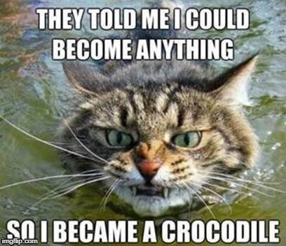 I identify as a swamp-dwelling lizard-type critter. | . | image tagged in funny cats,identity politics,transformation,transspecies | made w/ Imgflip meme maker