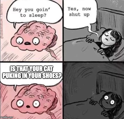Hugghh..., Hugggghhh... Blech... | IS THAT YOUR CAT PUKING IN YOUR SHOES? | image tagged in waking up brain | made w/ Imgflip meme maker