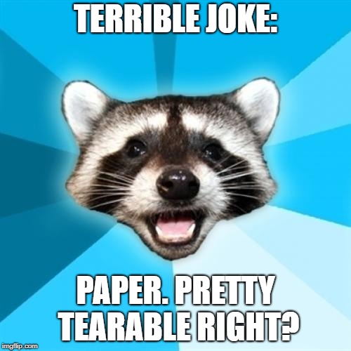 Lame Pun Coon |  TERRIBLE JOKE:; PAPER. PRETTY TEARABLE RIGHT? | image tagged in memes,lame pun coon | made w/ Imgflip meme maker