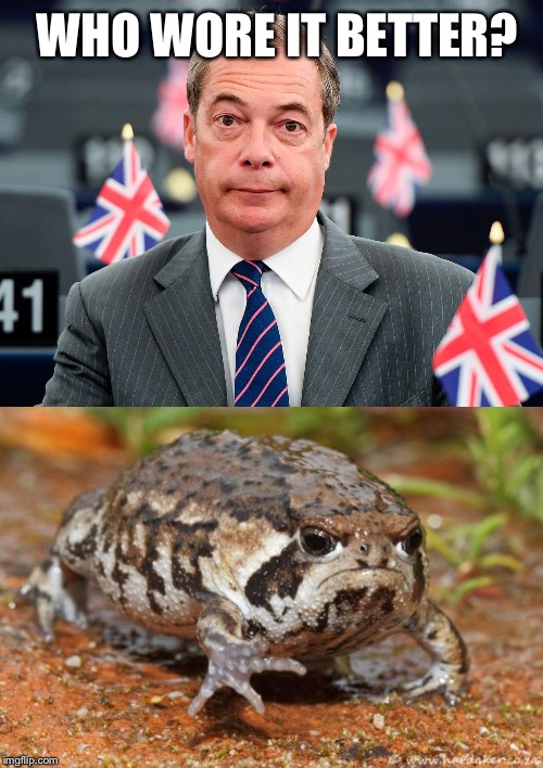 WHO WORE IT BETTER? | image tagged in memes,grumpy toad,nigel farage skeptical | made w/ Imgflip meme maker