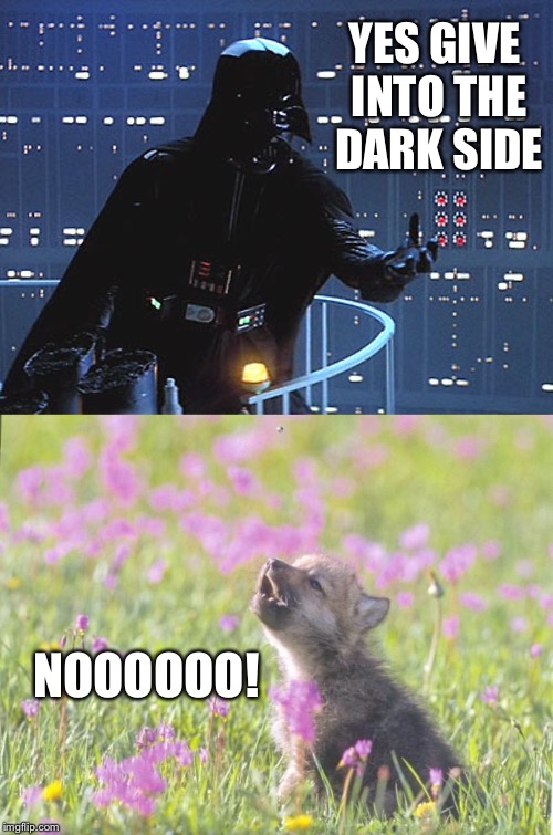 YES GIVE INTO THE DARK SIDE NOOOOOO! | image tagged in memes,baby insanity wolf,darth vader - come to the dark side | made w/ Imgflip meme maker