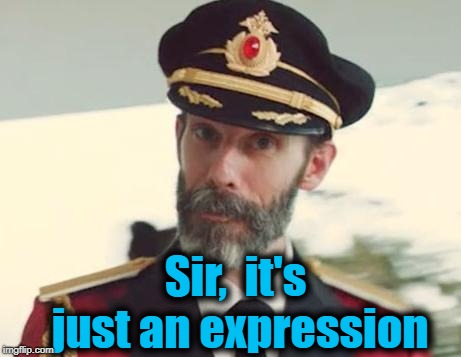 Captain Obvious | Sir,  it's just an expression | image tagged in captain obvious | made w/ Imgflip meme maker