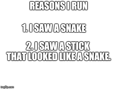Blank White Template | REASONS I RUN; 1. I SAW A SNAKE; 2. I SAW A STICK THAT LOOKED LIKE A SNAKE. | image tagged in blank white template | made w/ Imgflip meme maker