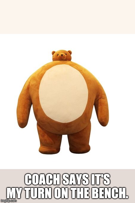 Body-Builder Bear | COACH SAYS IT'S MY TURN ON THE BENCH. | image tagged in body-builder bear | made w/ Imgflip meme maker