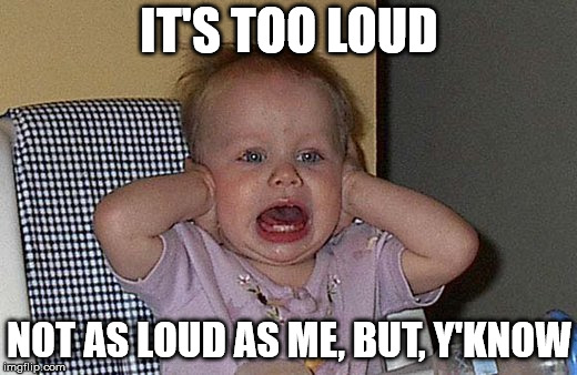 Too much Noise | IT'S TOO LOUD; NOT AS LOUD AS ME, BUT, Y'KNOW | image tagged in too much noise | made w/ Imgflip meme maker