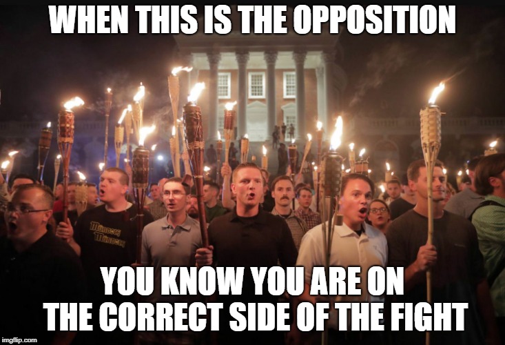 Alt right tiki torches | WHEN THIS IS THE OPPOSITION; YOU KNOW YOU ARE ON THE CORRECT SIDE OF THE FIGHT | image tagged in alt right tiki torches | made w/ Imgflip meme maker