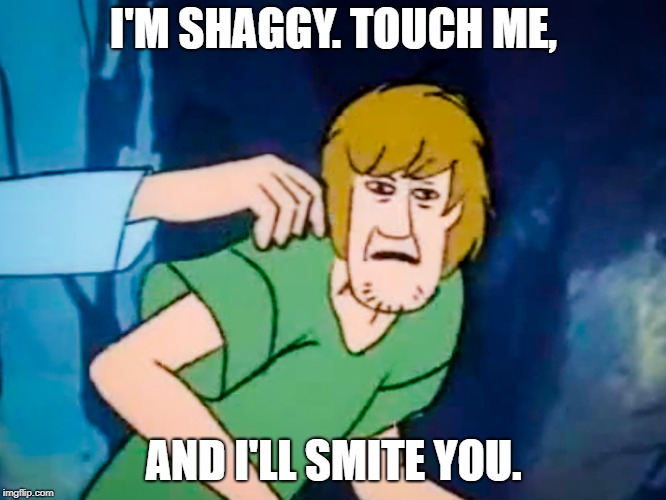 Shaggy meme | I'M SHAGGY. TOUCH ME, AND I'LL SMITE YOU. | image tagged in shaggy meme | made w/ Imgflip meme maker