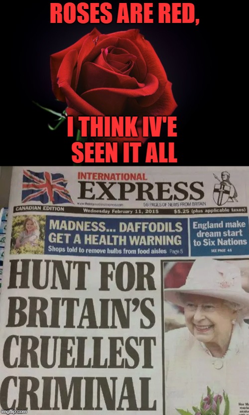 It was the Queen with the crown in the palace | ROSES ARE RED, I THINK IV'E SEEN IT ALL | image tagged in memes,funny,roses are red,queen elizabeth,news,headlines | made w/ Imgflip meme maker