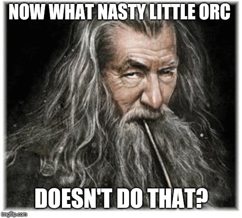 NOW WHAT NASTY LITTLE ORC DOESN'T DO THAT? | made w/ Imgflip meme maker
