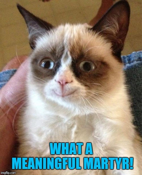 Grumpy Cat Happy Meme | WHAT A MEANINGFUL MARTYR! | image tagged in memes,grumpy cat happy,grumpy cat | made w/ Imgflip meme maker