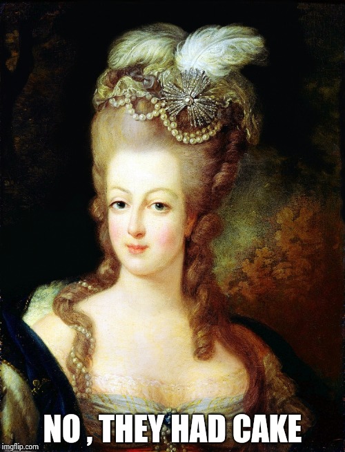 marie antoinette | NO , THEY HAD CAKE | image tagged in marie antoinette | made w/ Imgflip meme maker