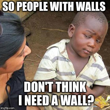 Third World Skeptical Kid | SO PEOPLE WITH WALLS; DON'T THINK I NEED A WALL? | image tagged in memes,third world skeptical kid | made w/ Imgflip meme maker