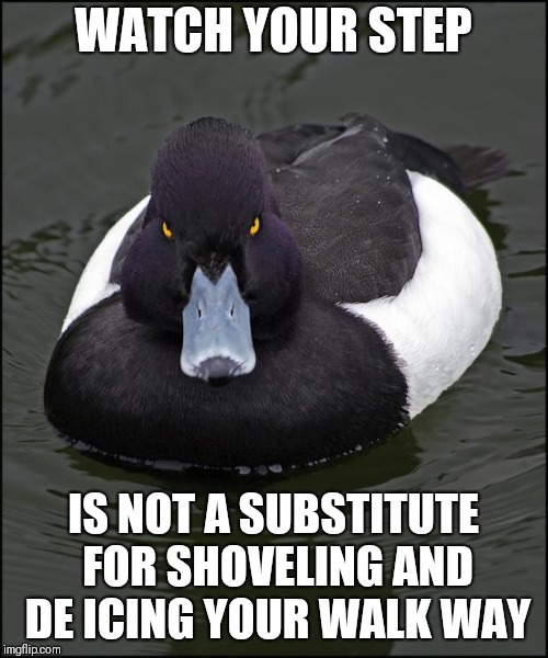 Angry duck | WATCH YOUR STEP; IS NOT A SUBSTITUTE FOR SHOVELING AND DE ICING YOUR WALK WAY | image tagged in angry duck | made w/ Imgflip meme maker