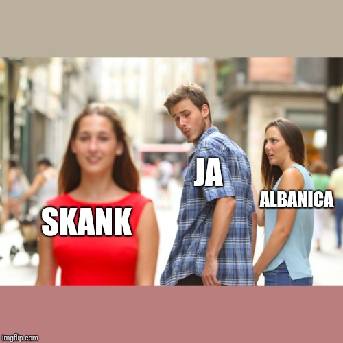 Distracted Boyfriend Meme | JA; ALBANICA; SKANK | image tagged in memes,distracted boyfriend | made w/ Imgflip meme maker