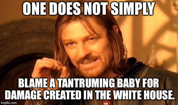 One Does Not Simply Meme | ONE DOES NOT SIMPLY BLAME A TANTRUMING BABY FOR DAMAGE CREATED IN THE WHITE HOUSE. | image tagged in memes,one does not simply | made w/ Imgflip meme maker