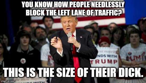 Small Dicks | YOU KNOW HOW PEOPLE NEEDLESSLY BLOCK THE LEFT LANE OF TRAFFIC? THIS IS THE SIZE OF THEIR DICK. | image tagged in small,dick,traffic,left,lane,block | made w/ Imgflip meme maker